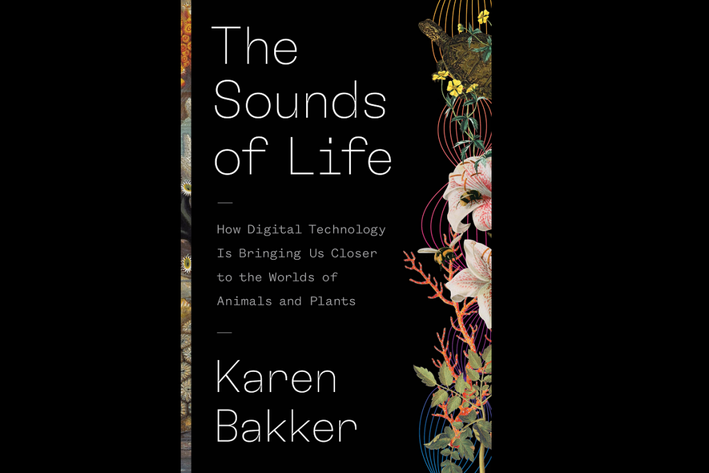 the-sounds-of-life-how-digital-technology-is-bringing-us-closer-to-the