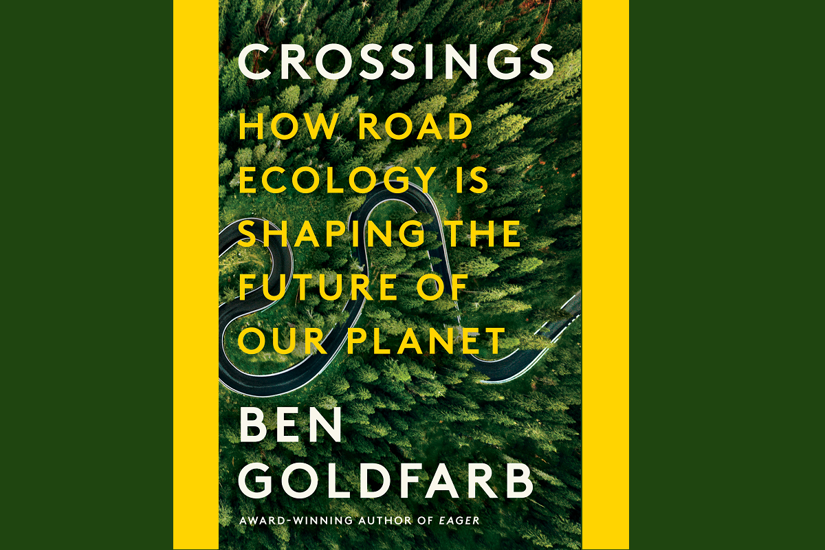 Crossings' explores the science of road ecology
